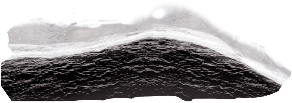 Diz me com quem andas, dir-te-ei quem és!