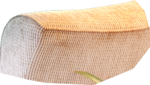 Mudam-se os tempos, mudam-se as vontades!